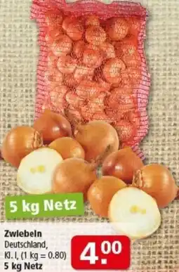Multi Markt Zwiebeln Angebot