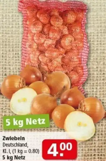 Multi Markt Zwiebeln Angebot