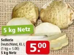 Multi Markt Sellerie Angebot