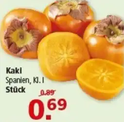 Multi Markt Kaki Spanien Angebot