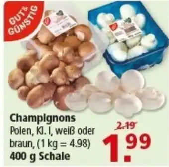 Multi Markt GUT& GÜNSTIG Champignons Angebot