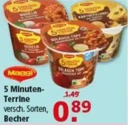 Multi Markt Maggi 5 Minuten- Terrine Angebot