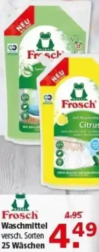 Multi Markt Frosch Waschmittel Angebot