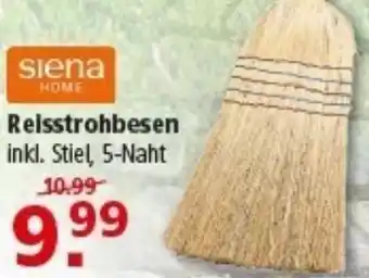Multi Markt Siena Home Reisstrohbesen Angebot
