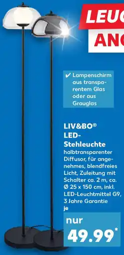 Kaufland LIV&BO LED Stehleuchte Angebot