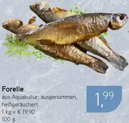 Dornseifer Forelle Angebot