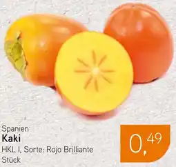 Dornseifer Spanien Kaki Angebot