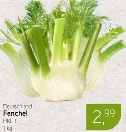 Dornseifer Deutschland Fenchel Angebot