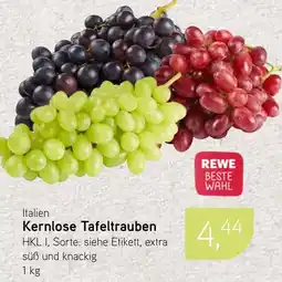 Dornseifer Kernlose Tafeltrauben Angebot