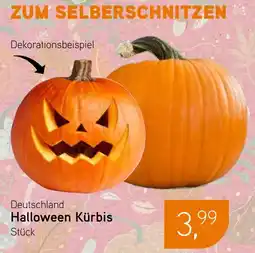 Dornseifer Deutschland Halloween Kürbis Angebot