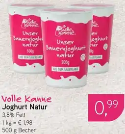 Dornseifer Volle kanne Joghurt Natur Angebot