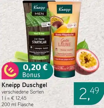 Dornseifer Kneipp Duschgel Angebot