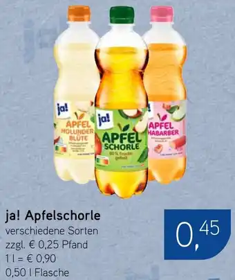Dornseifer ja! Apfelschorle Angebot