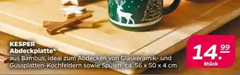 NETTO Kesper abdeckplatte Angebot