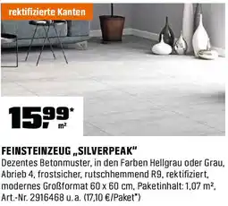 OBI Feinsteinzeug „silverpeak" Angebot