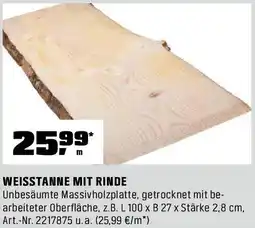 OBI Weisstanne mit rinde Angebot