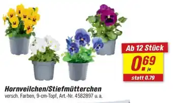 toom Baumarkt Hornveilchen/Stiefmütterchen Angebot