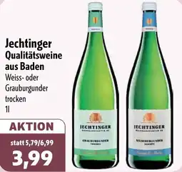 Aktiv Irma Jechtinger Qualitätsweine aus Baden Angebot