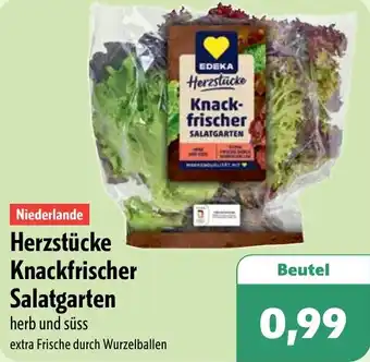 Aktiv Irma Herzstücke Knackfrischer Salatgarten Angebot