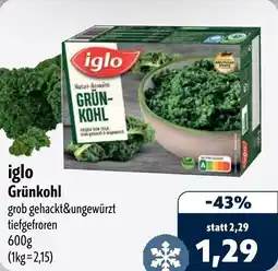 Aktiv Irma iglo Grünkohl Angebot