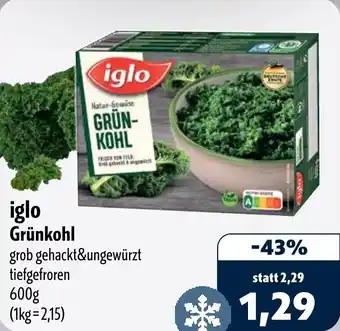 Aktiv Irma iglo Grünkohl Angebot