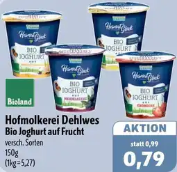 Aktiv Irma Hofmolkerei Dehlwes Bio Joghurt auf Frucht Angebot
