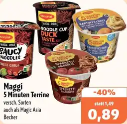 Aktiv Irma Maggi 5 Minuten Terrine Angebot