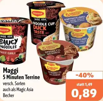 Aktiv Irma Maggi 5 Minuten Terrine Angebot