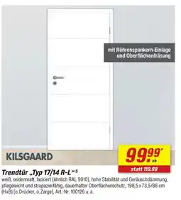 toom Baumarkt KILSGAARD Trendtür „Typ 17/14 R-L"5 Angebot