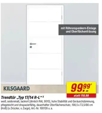 toom Baumarkt KILSGAARD Trendtür „Typ 17/14 R-L"5 Angebot