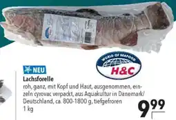 CITTI Markt H&C Lachsforelle Angebot