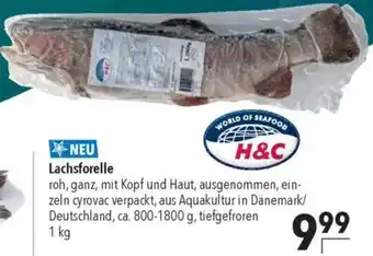 CITTI Markt H&C Lachsforelle Angebot