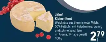 CITTI Markt Jithof Kleiner Knut Angebot