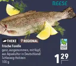 CITTI Markt Frische Forelle Angebot