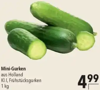 CITTI Markt Mini-Gurken Angebot