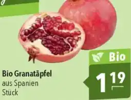 CITTI Markt Bio Granatäpfel Angebot