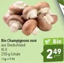 CITTI Markt Bio Champignons rosé Angebot