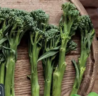 Handelshof Bimi Broccolini Angebot