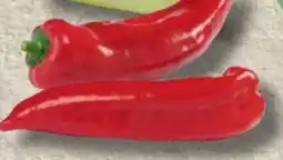 Handelshof Roter Spitzpaprika Angebot