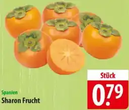 Famila Nord Ost Sharon Frucht Angebot