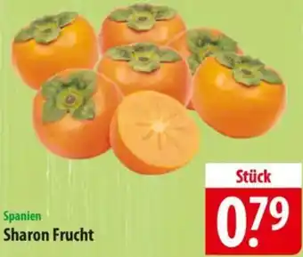 Famila Nord Ost Sharon Frucht Angebot
