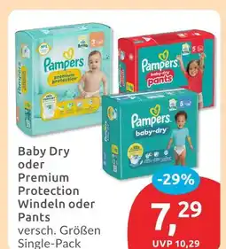 Budni Pampers baby dry Angebot