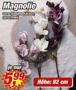 Posten Börse Magnolie Angebot