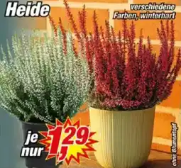 Posten Börse Heide Angebot