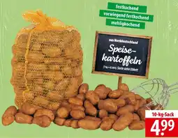 Famila Nord Ost Speisekartoffeln Angebot