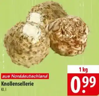 Famila Nord Ost Knollensellerie Angebot