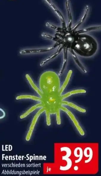 Famila Nord Ost LED Fenster-Spinne Angebot
