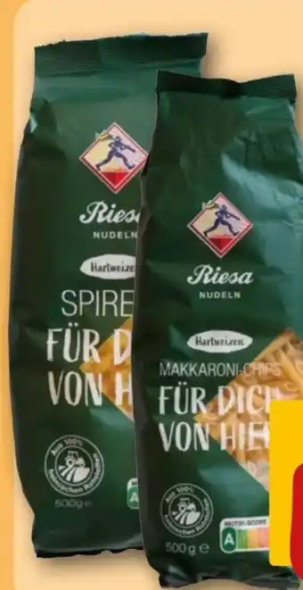 REWE Riesa Teigwaren Angebot