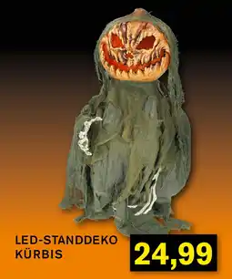 KODi LED-STANDDEKO KÜRBIS Angebot