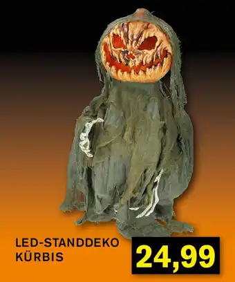 KODi LED-STANDDEKO KÜRBIS Angebot